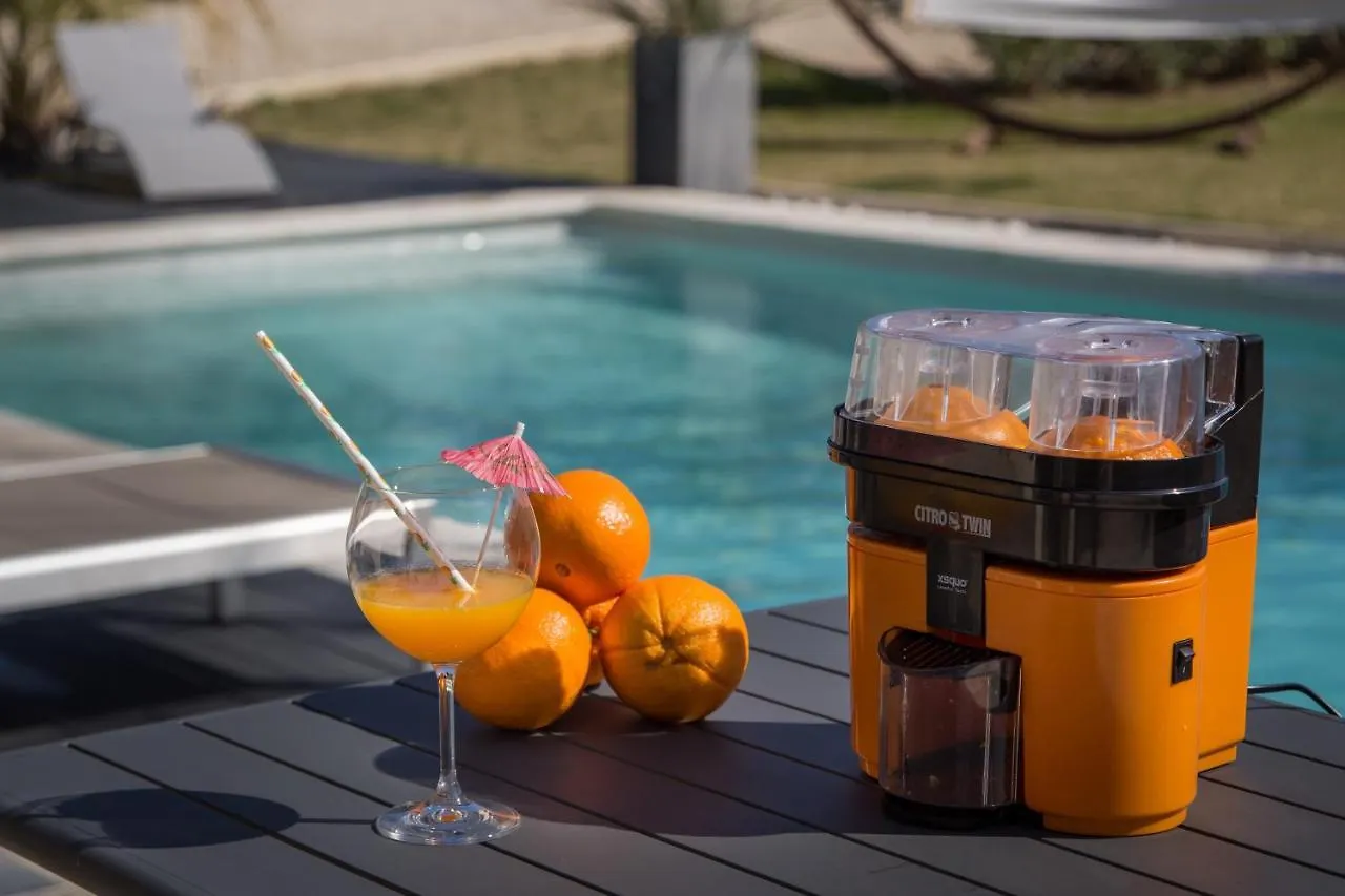 In Elsama Piscine Chauffee Villa L'Isle-sur-la-Sorgue Holiday home